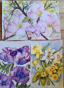 Chris M, Spring flowers, watercolour.jpg